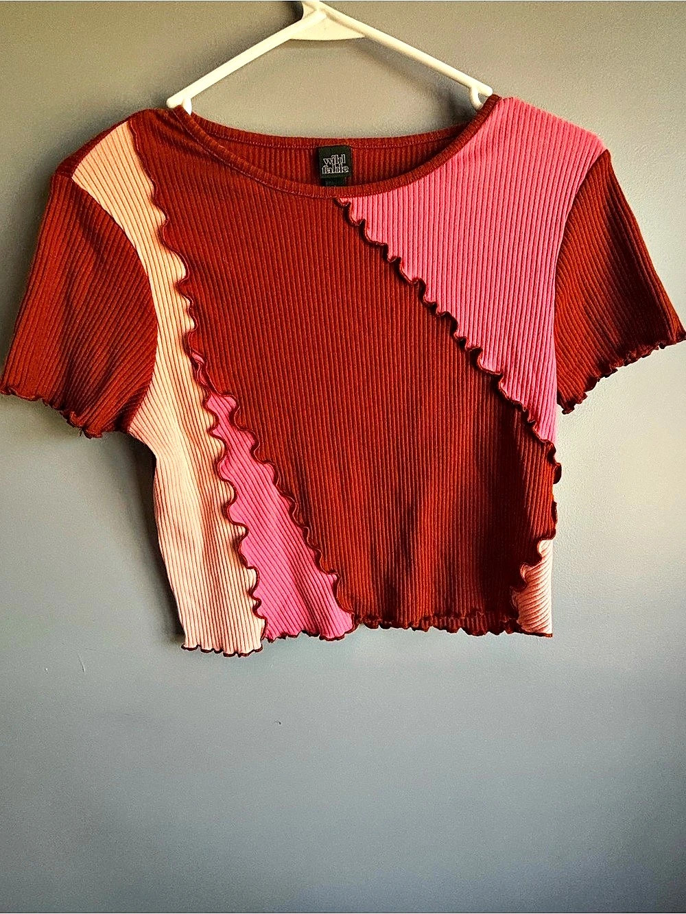 wild fable Color Block Ribbed Crop Top